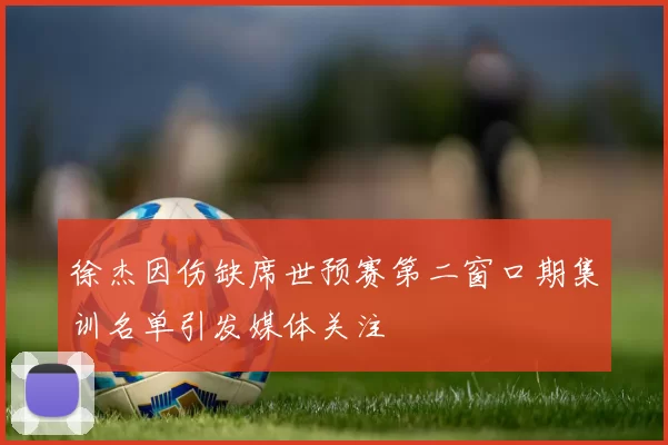 徐杰因伤缺席世预赛第二窗口期集训名单引发媒体关注